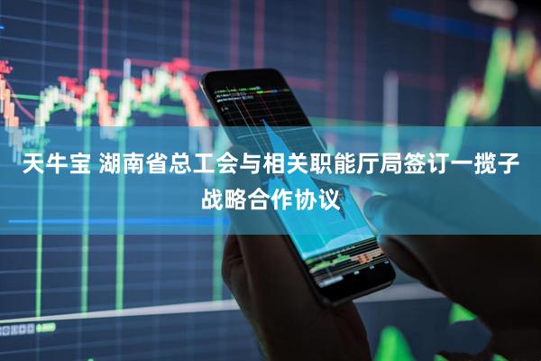 天牛宝 湖南省总工会与相关职能厅局签订一揽子战略合作协议