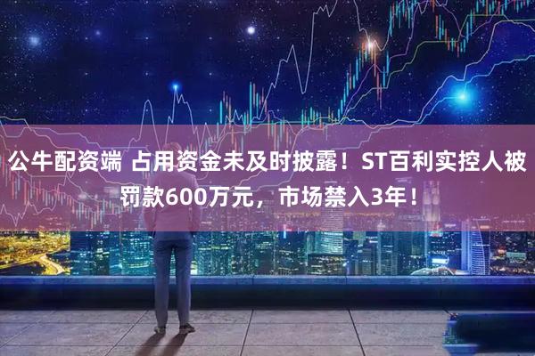 公牛配资端 占用资金未及时披露！ST百利实控人被罚款600万元，市场禁入3年！