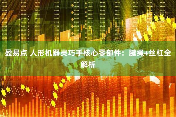 盈易点 人形机器灵巧手核心零部件：腱绳+丝杠全解析