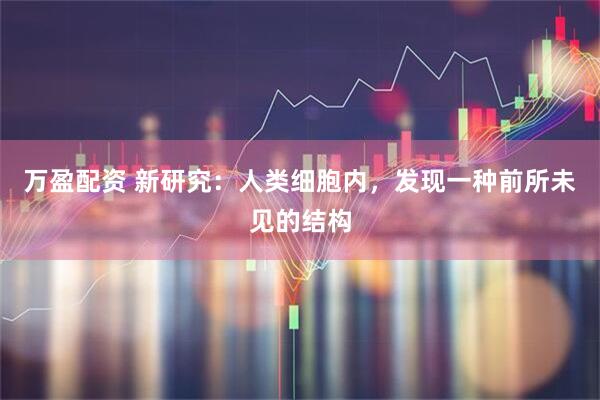 万盈配资 新研究：人类细胞内，发现一种前所未见的结构