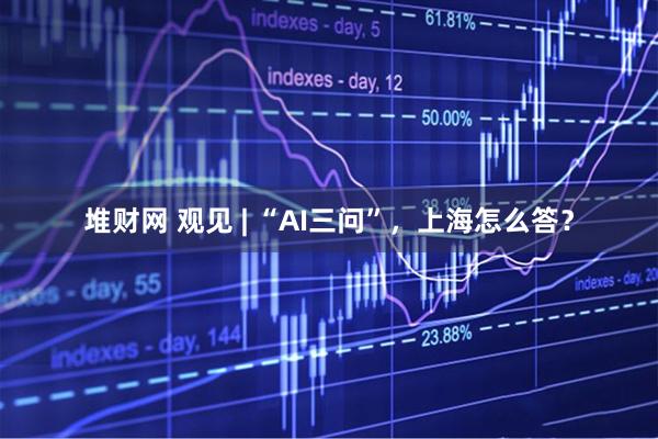 堆财网 观见 | “AI三问”，上海怎么答？
