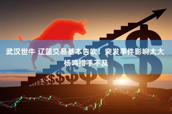 武汉世牛 辽篮交易基本告吹！突发事件影响太大 杨鸣措手不及