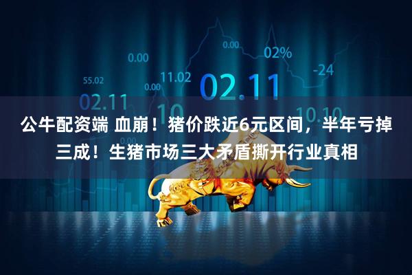 公牛配资端 血崩！猪价跌近6元区间，半年亏掉三成！生猪市场三大矛盾撕开行业真相