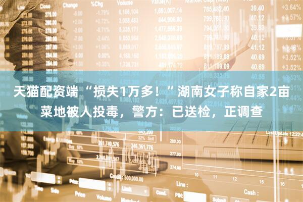 天猫配资端 “损失1万多！”湖南女子称自家2亩菜地被人投毒，警方：已送检，正调查