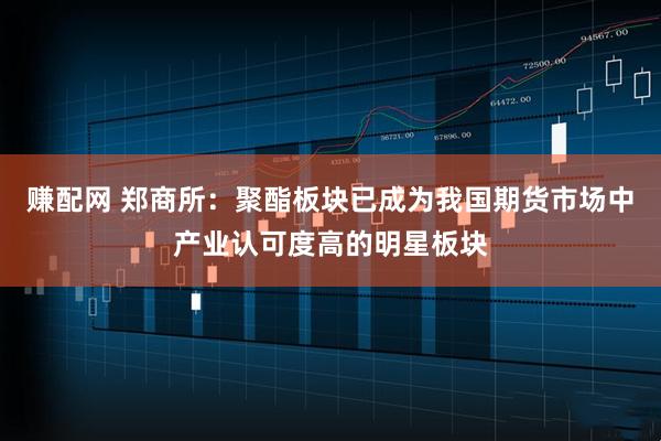 赚配网 郑商所：聚酯板块已成为我国期货市场中产业认可度高的明星板块