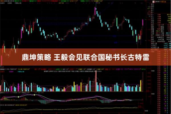 鼎坤策略 王毅会见联合国秘书长古特雷