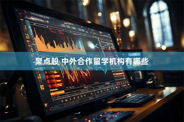 聚点股 中外合作留学机构有哪些