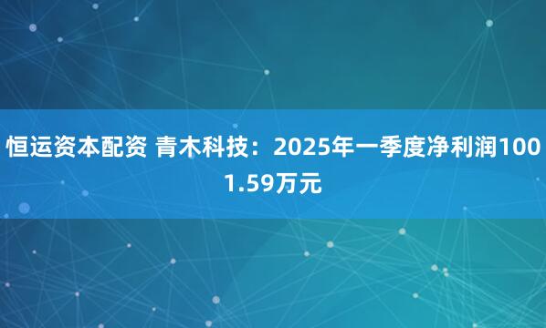 恒运资本配资 青木科技：2025年一季度净利润1001.59万元