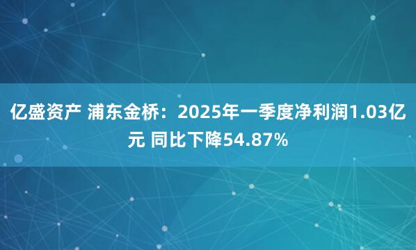 亿盛资产 浦东金桥：2025年一季度净利润1.03亿元 同比下降54.87%