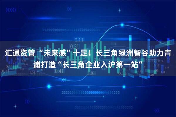 汇通资管 “未来感”十足!长三角绿洲智谷助力青浦打造“长三角企业入沪第一站”